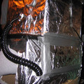 hallo-019_523372613_o.jpg