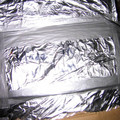 hallo-020_523372657_o.jpg