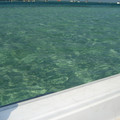 cimg7542_399272296_o.jpg