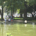 img_1079_1468697037_o.jpg