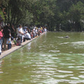 img_1082_1469556328_o.jpg