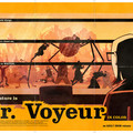 dr-voyeur-1024_181063278_o.jpg