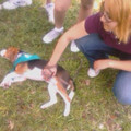 imag0018_3117639755_o.jpg