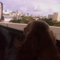 imag0023_3117639827_o.jpg