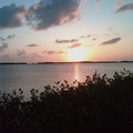 image_032_3117669057_o.jpg