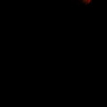 image_081_3117670627_o.jpg