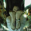 into_the_light_523855301_o.jpg