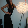 pics-133_471370992_o.jpg