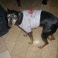 cimg3472_2943853507_o.jpg