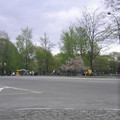 img_2956_479082972_o.jpg