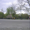img_2957_479083852_o.jpg
