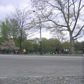 img_2958_479084858_o.jpg