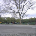 img_2959_479102451_o.jpg