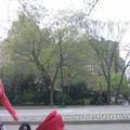 img_2967_479110295_o.jpg