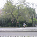 img_2968_479111345_o.jpg