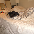 washington-nyc-2-103_575806359_o.jpg