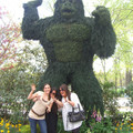 washington-nyc-2-138_575662960_o.jpg