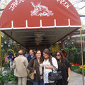 washington-nyc-2-144_575664774_o.jpg