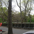 washington-nyc-2-155_575668894_o.jpg