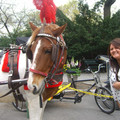 washington-nyc-2-178_575678298_o.jpg