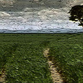 scene3_421742312_o.jpg