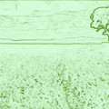 scene4_421742335_o.jpg