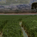 scene5_421742364_o.jpg