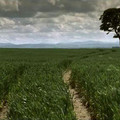 scene_421742413_o.jpg