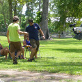 p1010063_2772386990_o.jpg