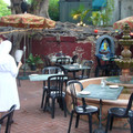 p1010114_2771592613_o.jpg