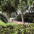 dsc00258_4492954537_o.jpg