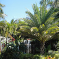 dsc00264_4493617088_o.jpg