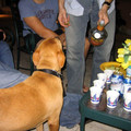 thanksgiving2k3-006_523830268_o.jpg