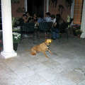 thanksgiving2k3-008_523830342_o.jpg