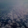 picture-002_3597838497_o.jpg