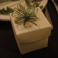 events---6060_4980932796_o.jpg