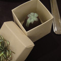 events---6061_4980331477_o.jpg