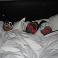 dsc01326_4897865379_o.jpg