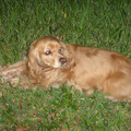 dsc01341_4999478470_o.jpg