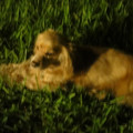 dsc01342_4999478948_o.jpg