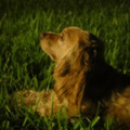 dsc01343_4999479300_o.jpg