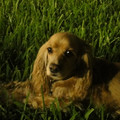 dsc01344_4999480146_o.jpg