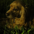 dsc01346_4998876141_o.jpg