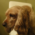 dsc01360_4999485300_o.jpg