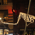 dsc01771_5149445479_o.jpg
