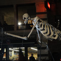 dsc01772_5149447873_o.jpg