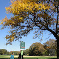 dsc01826_5149562491_o.jpg