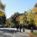 dsc01828_5150175396_o.jpg