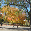 dsc01850_5150225394_o.jpg