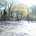 dsc01851_5149618715_o.jpg